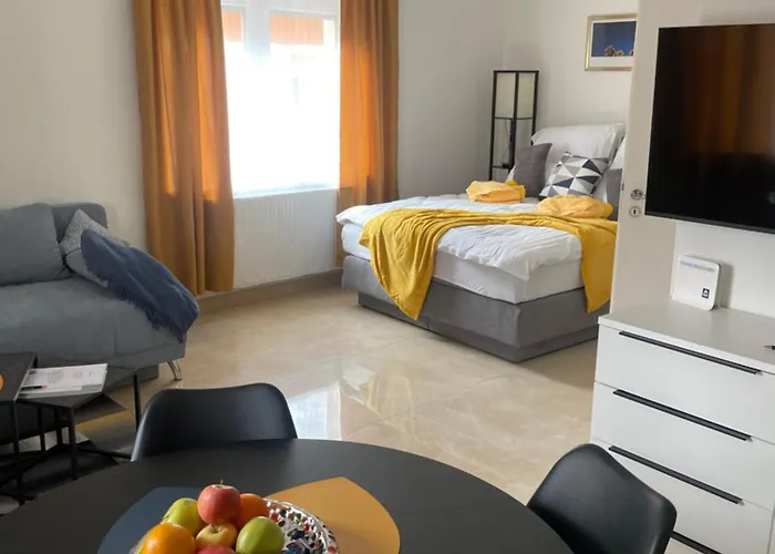 Seos Self Check In ,gratis Parken,apartment Mit Schlaf Und Studioapartmet Апартаменти Грац